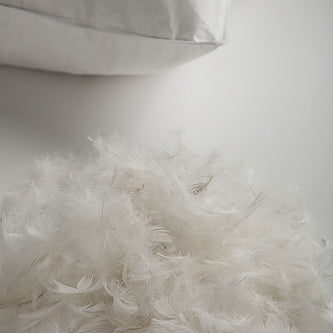 Μαξιλάρι Ύπνου με Πούπουλο Χήνας Ρουαγιαλ